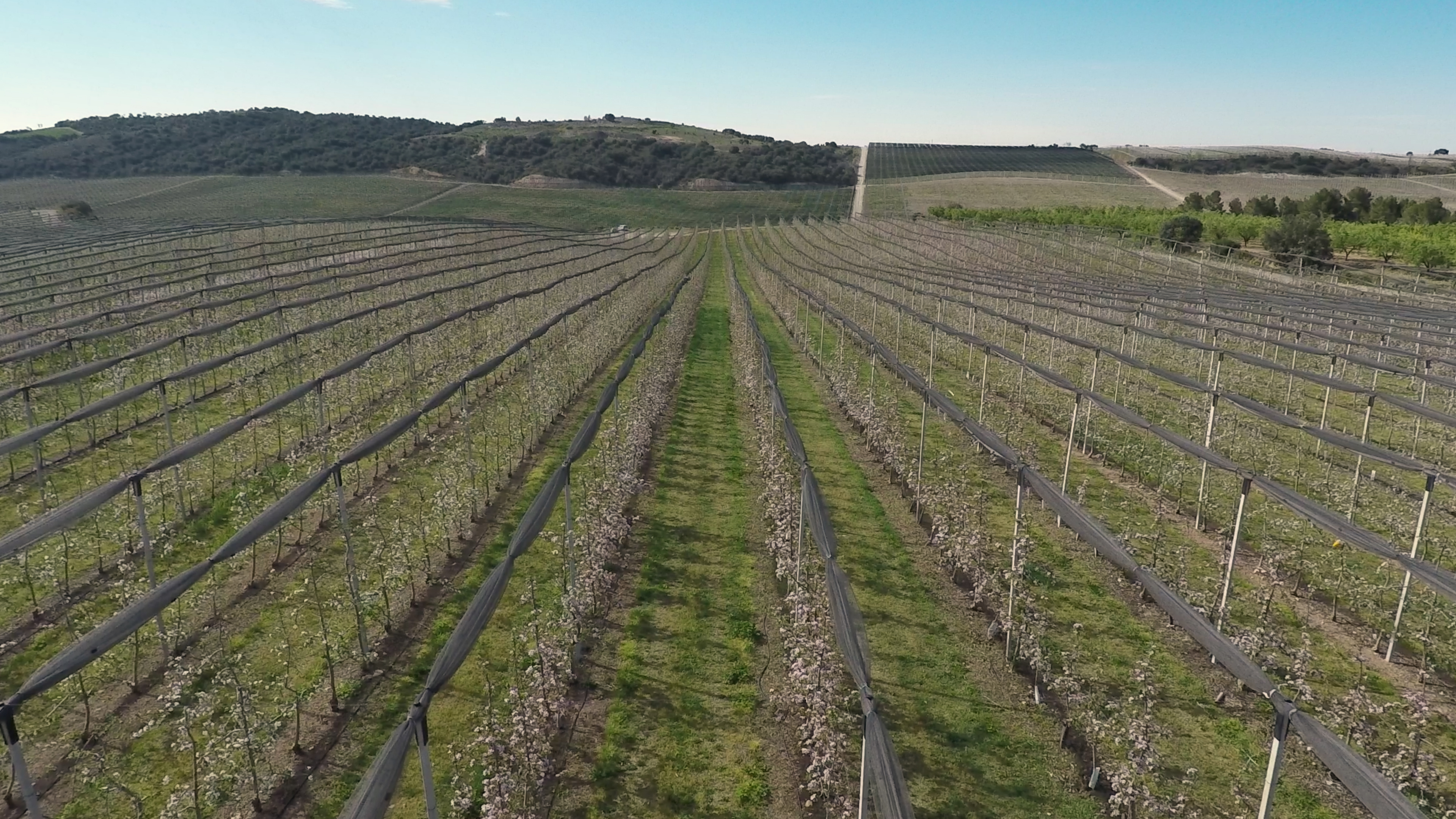 Agricultura inteligente con drones