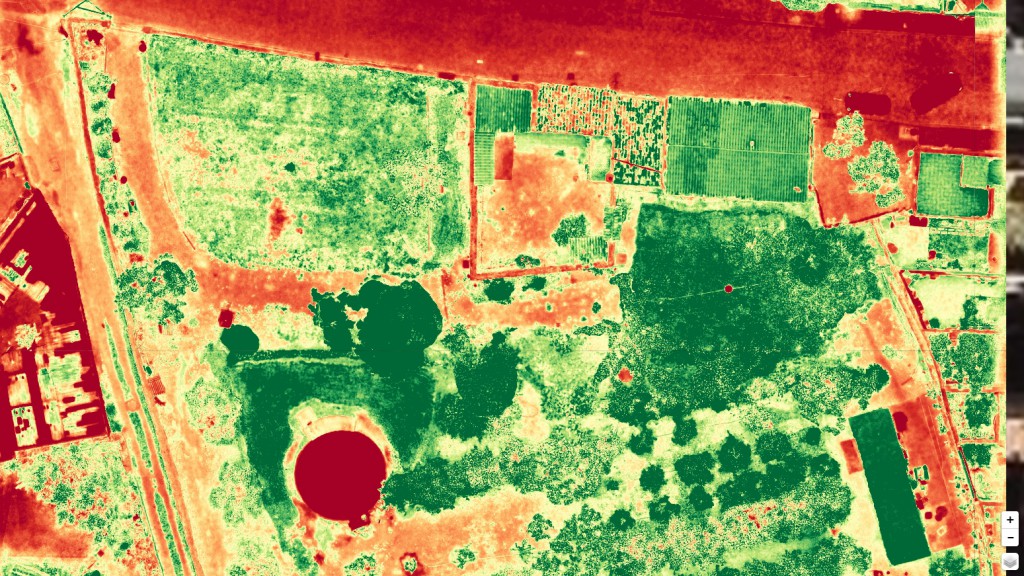 ndvi